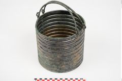 Foto von Bronzerippenciste (NHMW-PRAE-025983)